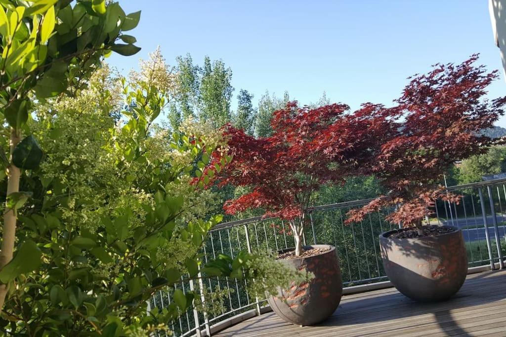 Appartamento Vista San Luca Con Terrazza Panoramica Bologna Eksteriør billede